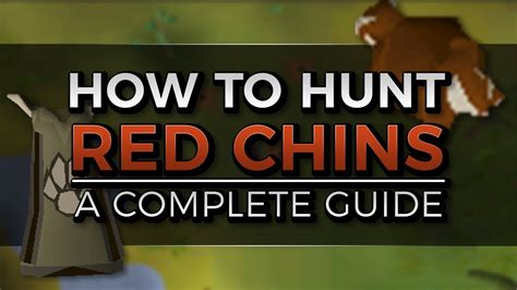 Complete Red Chinchompa Hunting Guide .